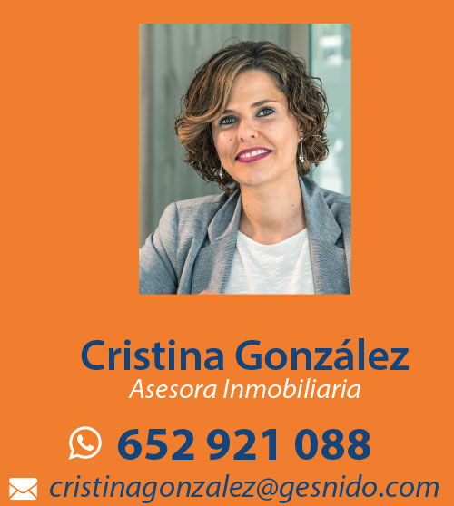 cristina González, Consultora de Gesnido